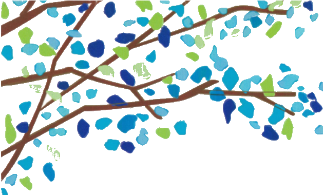 Denmark Pharmacy Medschecks MyPak Weekly Medicines Packs NDSS Diabetes Assistance Vaccinations Order Online