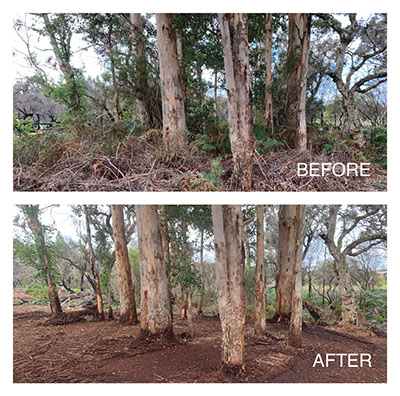 Eco-Land-Clearing-Before-and-After-Clearing-1-Margaret-River