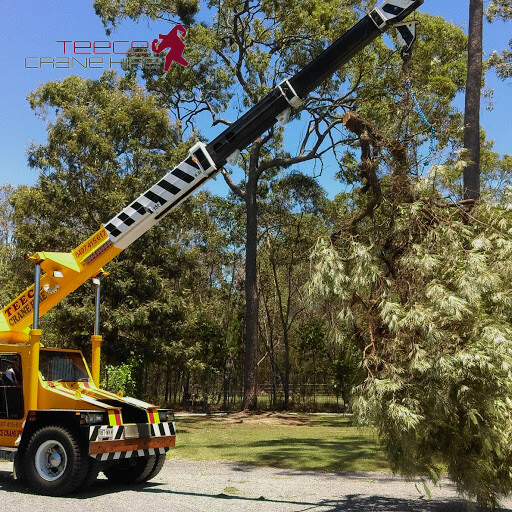 Teece Crane Hire - Crane Hire Service - Brisbane