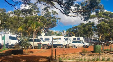 WhiteGum Farm Caravan park and Air Park