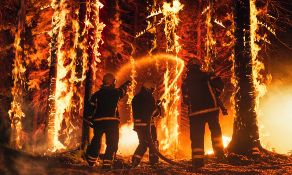 Firefighters battling a blaze amongst trees