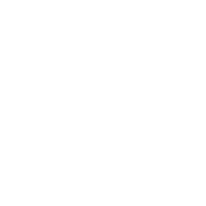 NDIS supplies and support icon