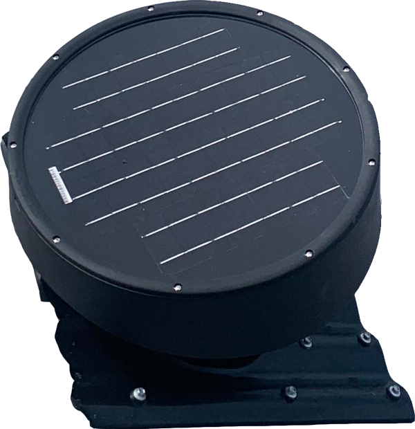 What are WhirlyBirds? WhirlyBirds